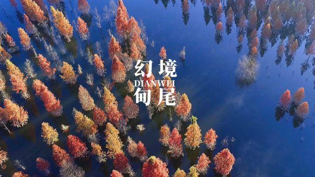 华中农大学生称举报前做好最坏打算