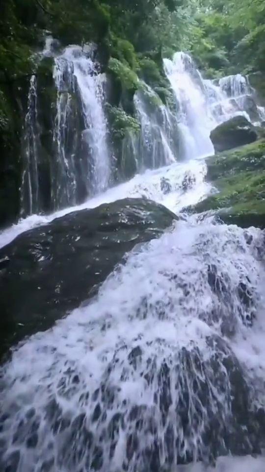 埋葬的秘密